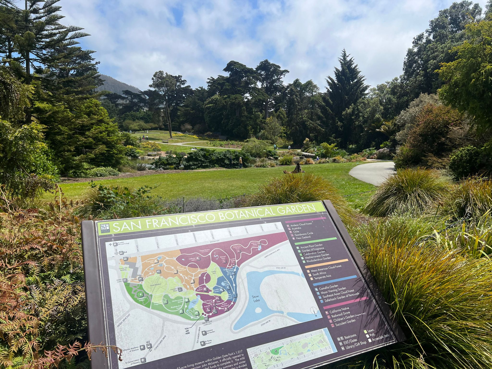 Image of SF Botanical Garden