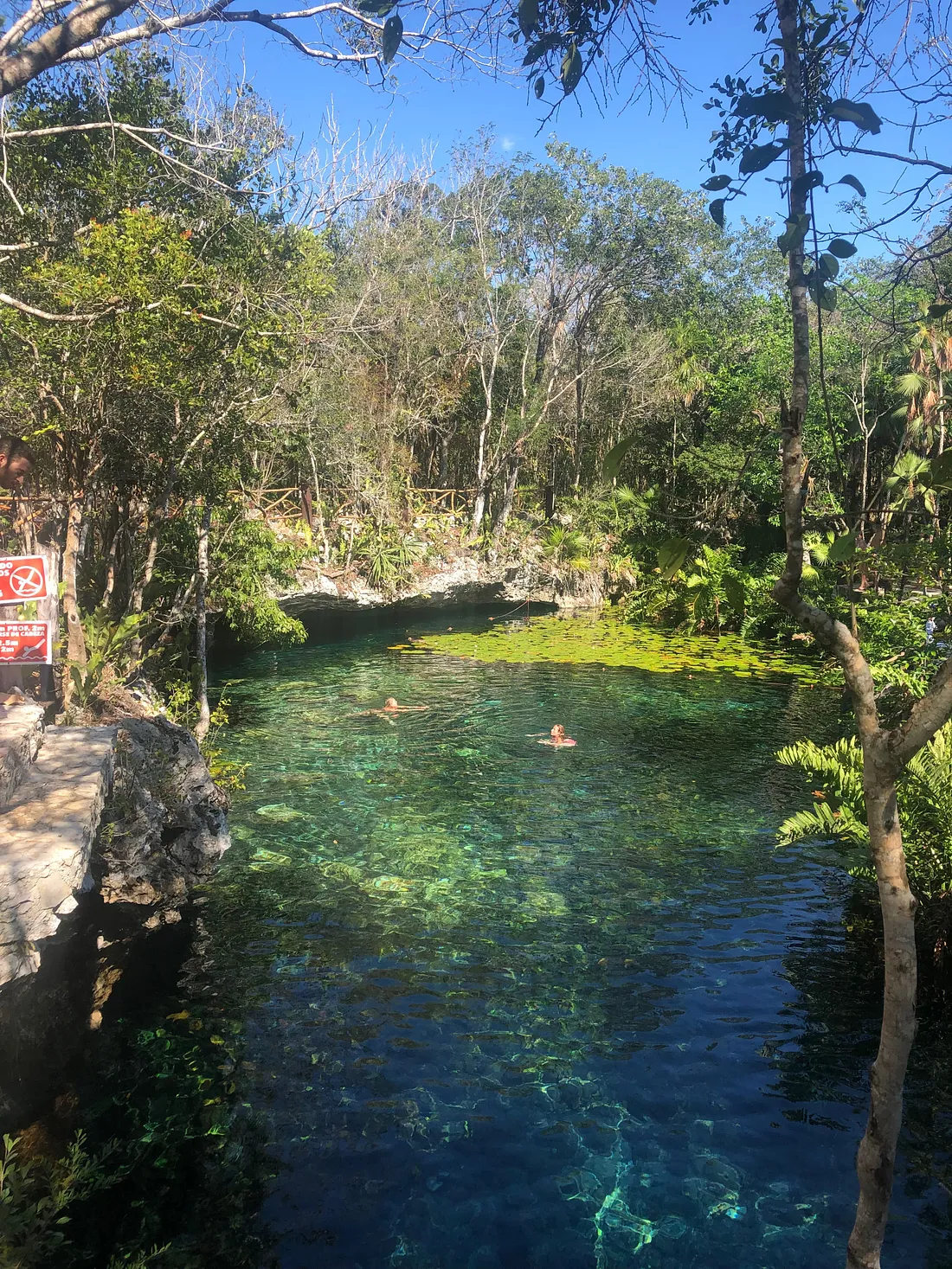 Image of Us in a Cenote